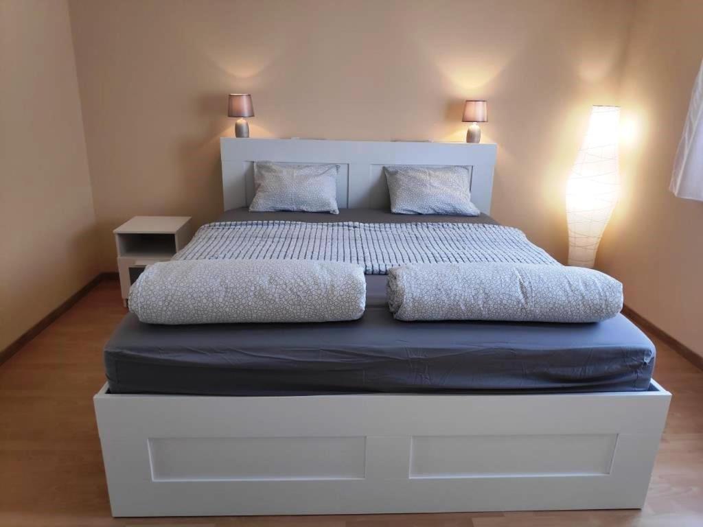 Koelcsey Apartman Apartment เซคซาร์ด ภายนอก รูปภาพ